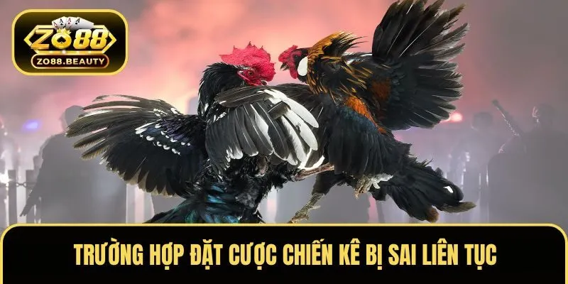 Trường hợp đặt cược chiến kê bị sai liên tục