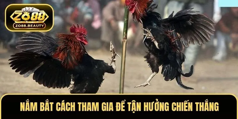 Nắm bắt cách tham gia để tận hưởng chiến thắng